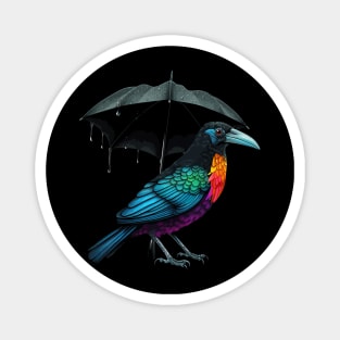 Umbrellabird Magnet